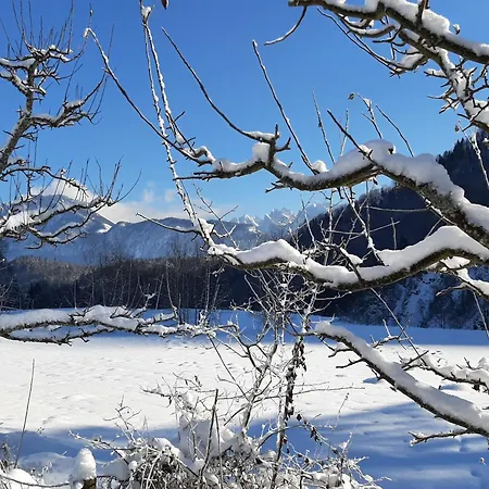 Apartamento Wertenauer *